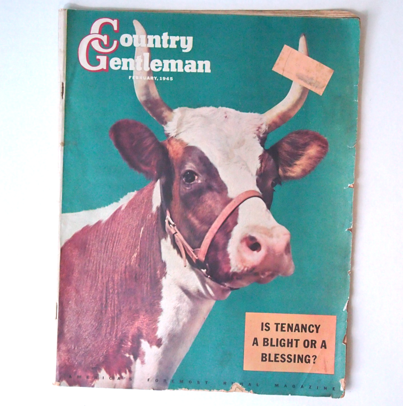 Country Gentleman Magazine - Kodachrome Bull Cover - F.P.Sherry - February 1945
