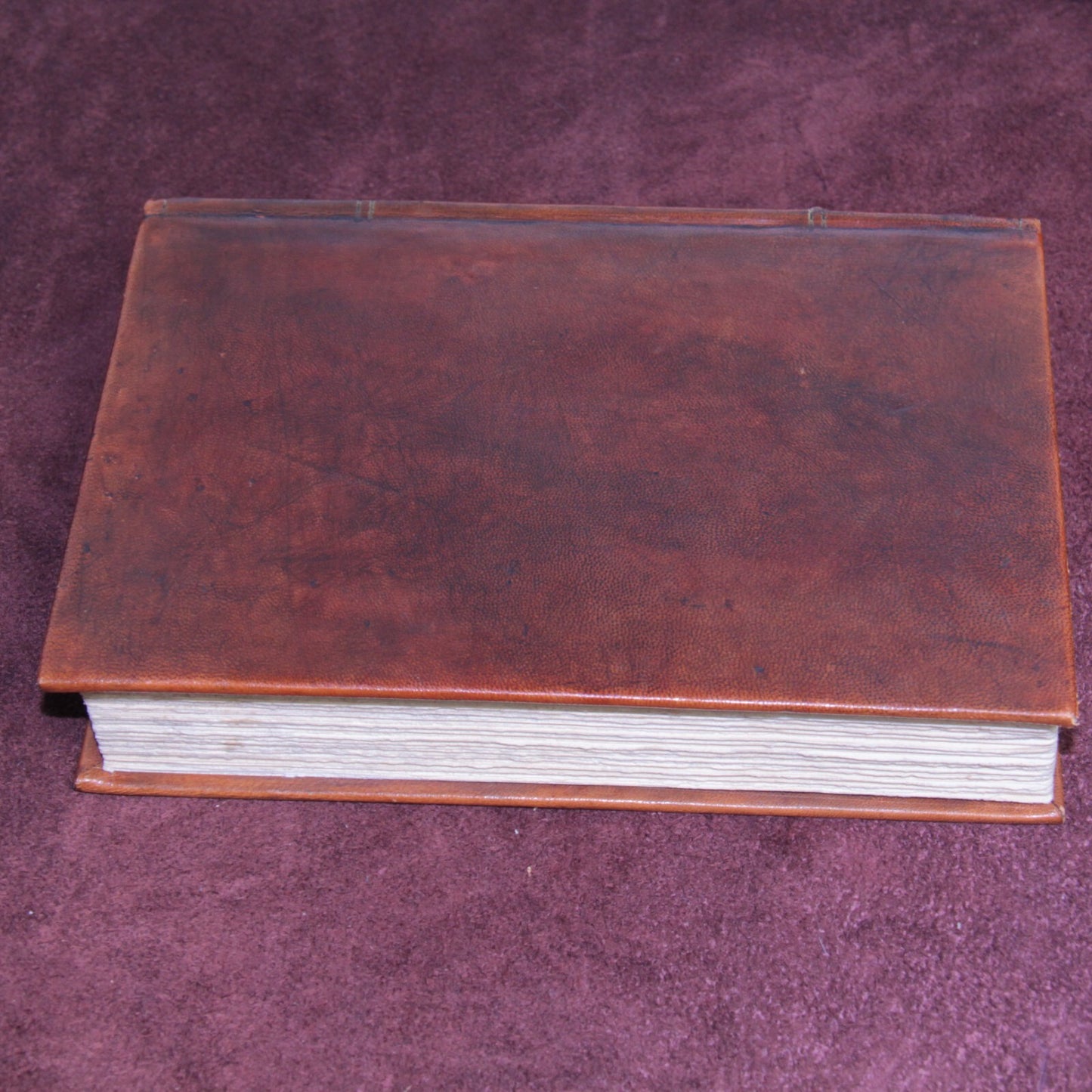 Fine Leather Binding - The Works of Rabelais Illustrated by Gustave Doré Book