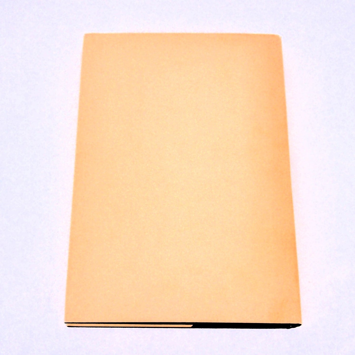Reminiscences of Los Alamos 1943–1945 – Atomic Age History Book – Badash 📘