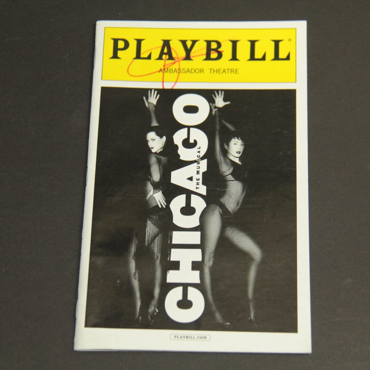 Jennifer Nettles Autograph | Signed Broadway Playbill | Chicago Musical w COA