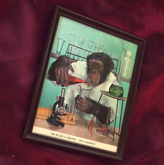 RARE Monkey Lab Assistant Wall Art "Sedative… or a Laxative?" Monkeyana Print ✨