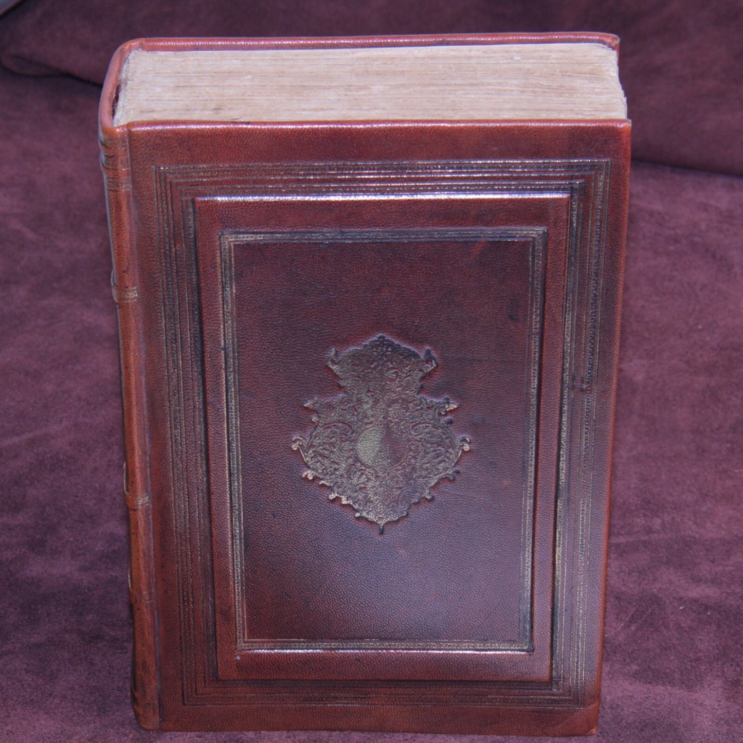 Fine Leather Binding - The Works of Rabelais Illustrated by Gustave Doré Book